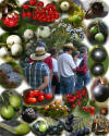 Composite photo from Barbara Renshaw's  September 5, 2004 docent-led walk "Coon Creek Berry Hunt."