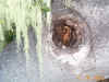 bee-hive-nest.jpg (123613 bytes)