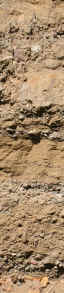 tall-sand-in-strata.jpg (109880 bytes)